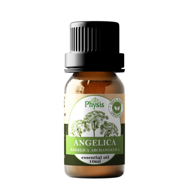 Organic/Bio | Angelica Essential Oil