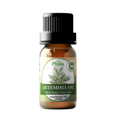 Organic | Artemesia Essential Oil