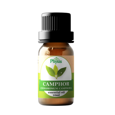 Camphor Essential Oil