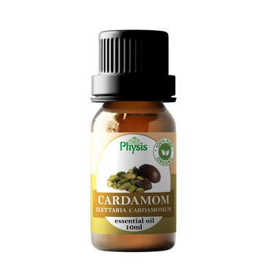 Organic | Cardamom Oil