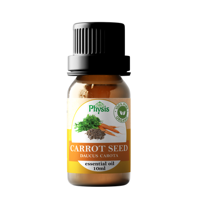 Organic | Carrot Seed Oil