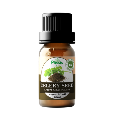 Organic | Celery Seed Oil