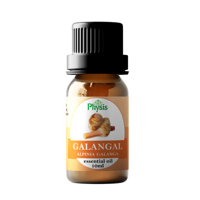 Galangal Essential Oil