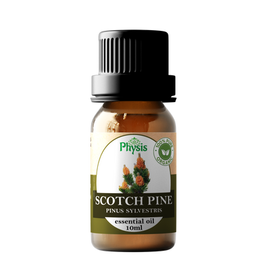 Organic | Scotch Pine Oil