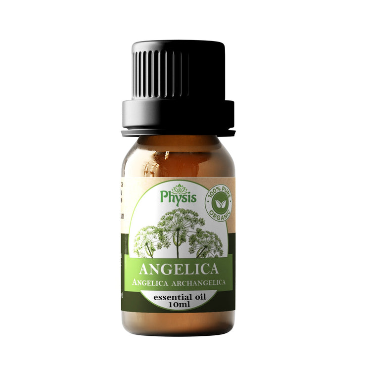 Organic/Bio Angelica Essential Oil