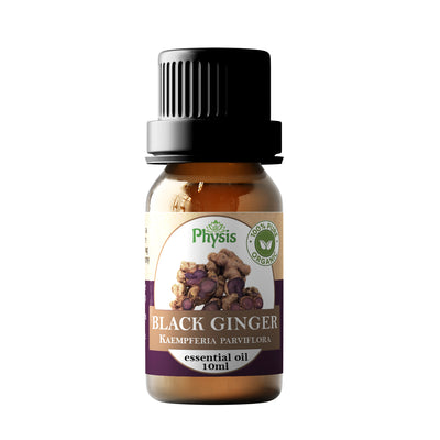 Organic/Bio Black Ginger Essential Oil 10ml น้ำมันหอมระเหยกระชายดำ