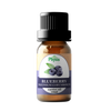 Organic Blueberry Oil