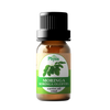 Moringa Carrier Oil