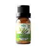 Organic Cajeput Oil