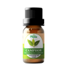 Camphor Essential Oil