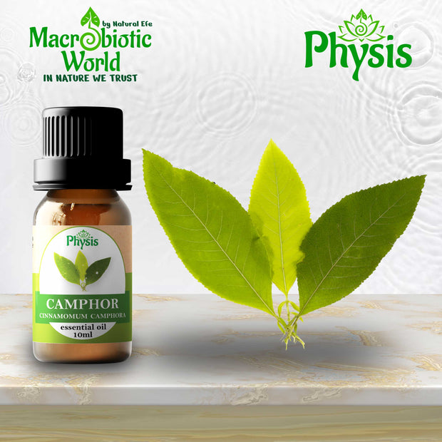 Essential Oil | Camphor Essential Oil - 1