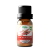 Organic Eucalyptus Oil
