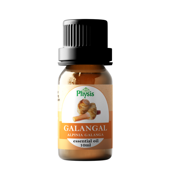 Essential Oil | Galangal Oil 10ml - 0