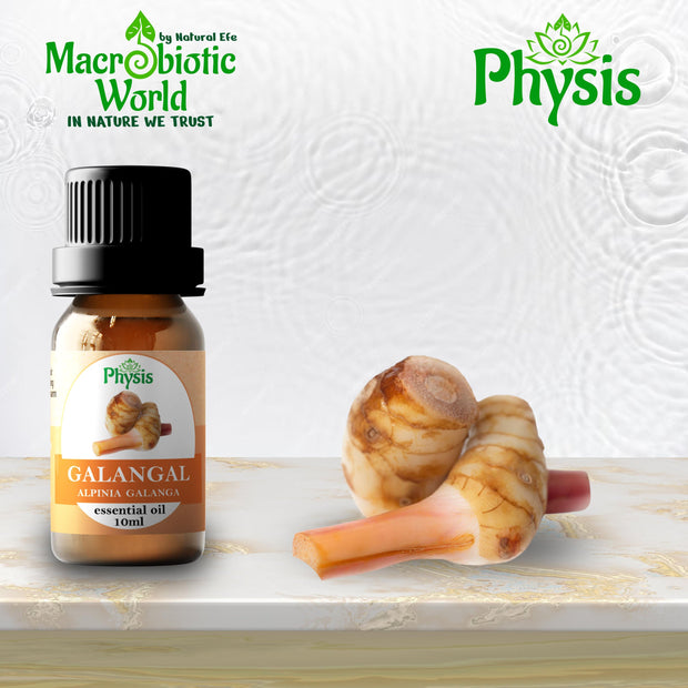 Essential Oil | Galangal Oil 10ml - 1