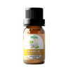 Garlic Essential Oil