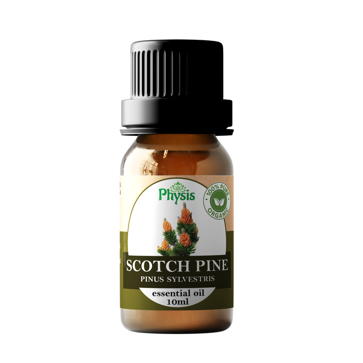 Organic Essential Oil | Scotch Pine Oil