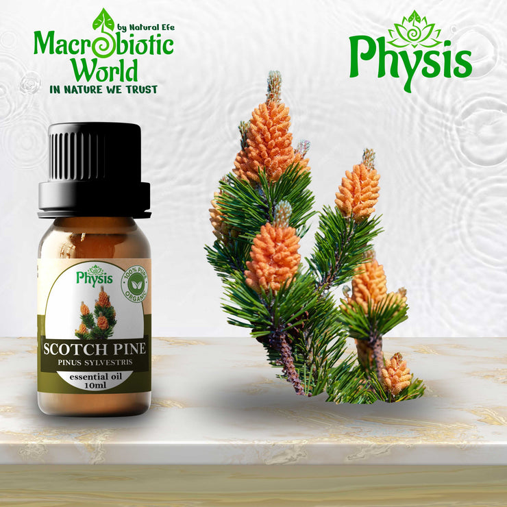 Organic Essential Oil | Scotch Pine Oil