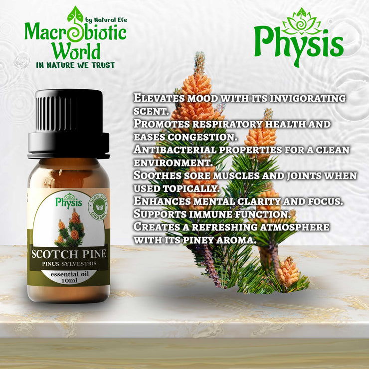 Organic Essential Oil | Scotch Pine Oil