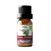 Organic Basil Indian Essential Oil