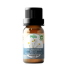 Organic Chamomile Blue Oil