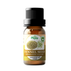 Organic Fennel Seed Oil