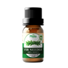 Needle Essential Oil