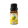 Evening Primrose Oil