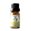 Jasmine Fragrance Oil