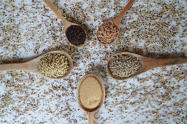 Grains, Legumes & Seeds