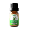 Organic Aloe Vera Infused Oil
