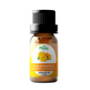 Calendula Infused Oil