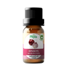 Organic Infused Onion Oil