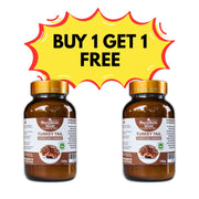 Organic/Bio Turkey Tail Mushroom Powder