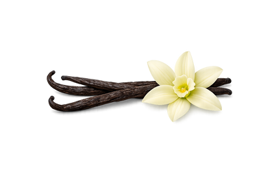 Vanilla Bean