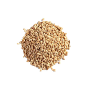 Organic/Bio | Barley Pearl Grains
