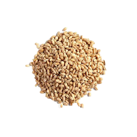 Organic/Bio | Barley Pearl Grains