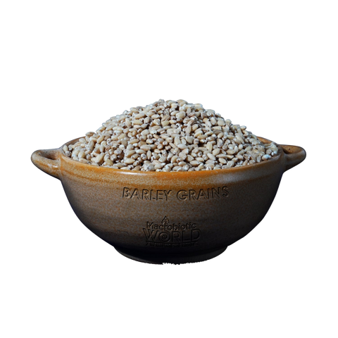 Organic/Bio | Barley Pearl Grains