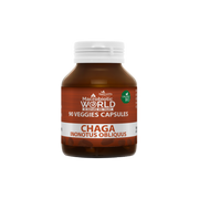 Jar of Chaga Inonotus Oblivius capsules from Macrobiotic World on a white background