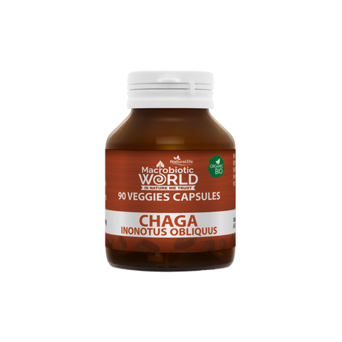 Jar of Chaga Inonotus Oblivius capsules from Macrobiotic World on a white background