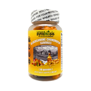 Glucosamine Chondroitin Gummies