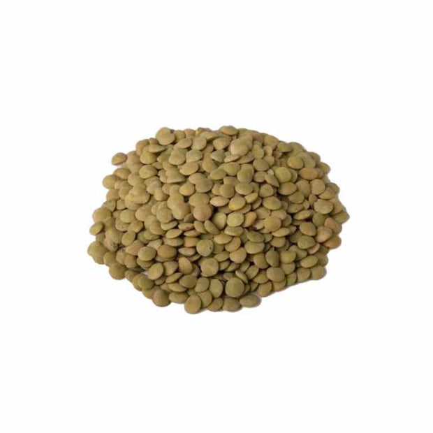 Organic/Bio Green Lentils