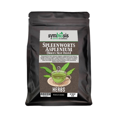 Spleenworts Asplenium