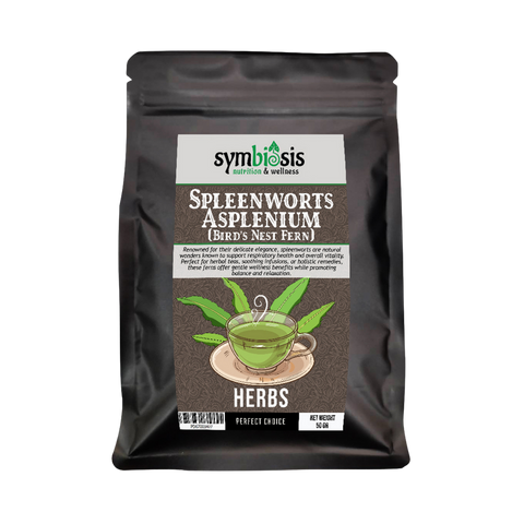 Spleenworts Asplenium