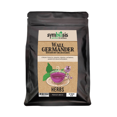 Wall Germander Teucrium Chamaedrys