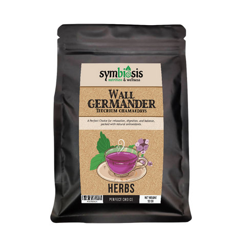 Wall Germander Teucrium Chamaedrys