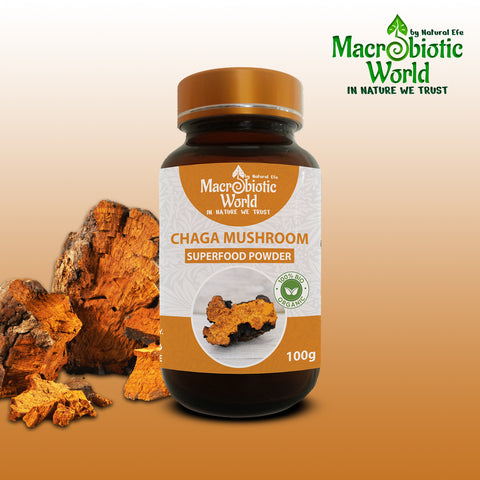 Chaga Mushroom Powder 2