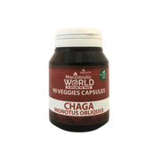 Jar of Chaga Inonotus Oblivius capsules from Macrobiotic World on a white background