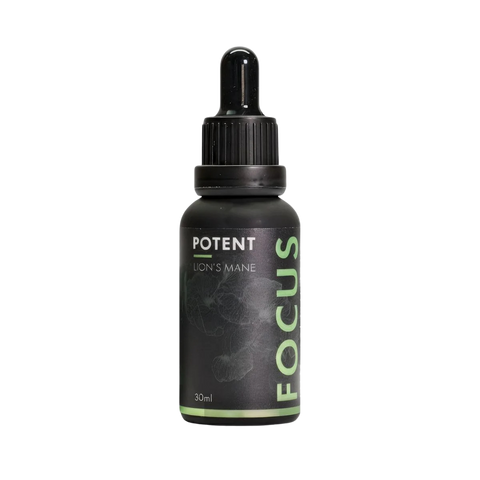 Organic | Lion's Mane Focus Syrup