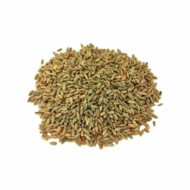Organic/Bio Rye Grains