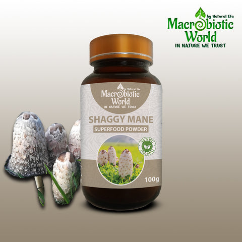 Organic/Bio | Shaggy Mane Mushroom Powder